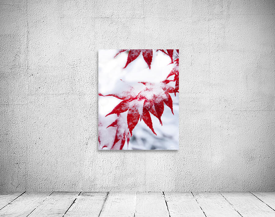 FlowersPlants 112 Wall Preview