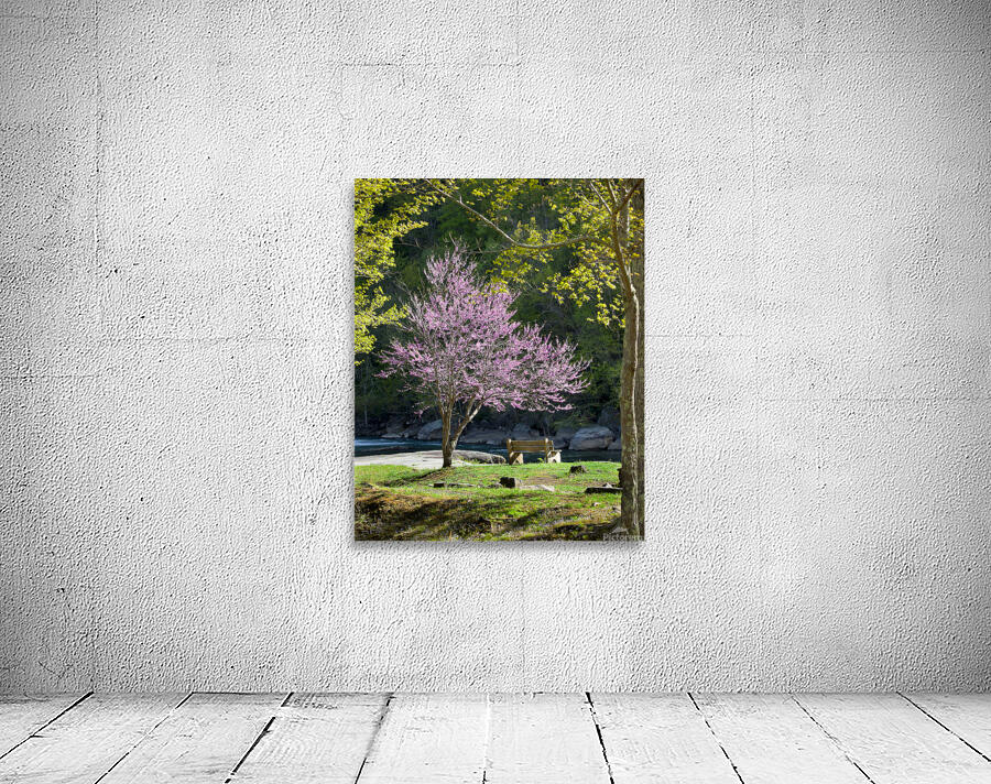 FlowersPlants 126 Wall Preview
