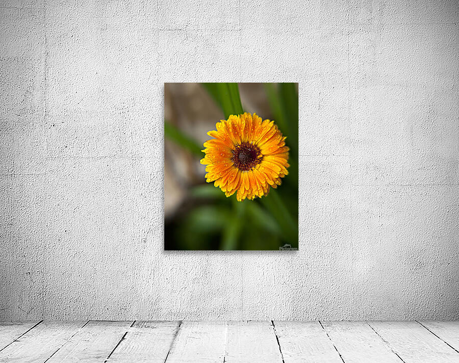 FlowersPlants129 Wall Preview