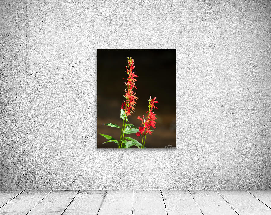 FlowersPlants 134 Wall Preview