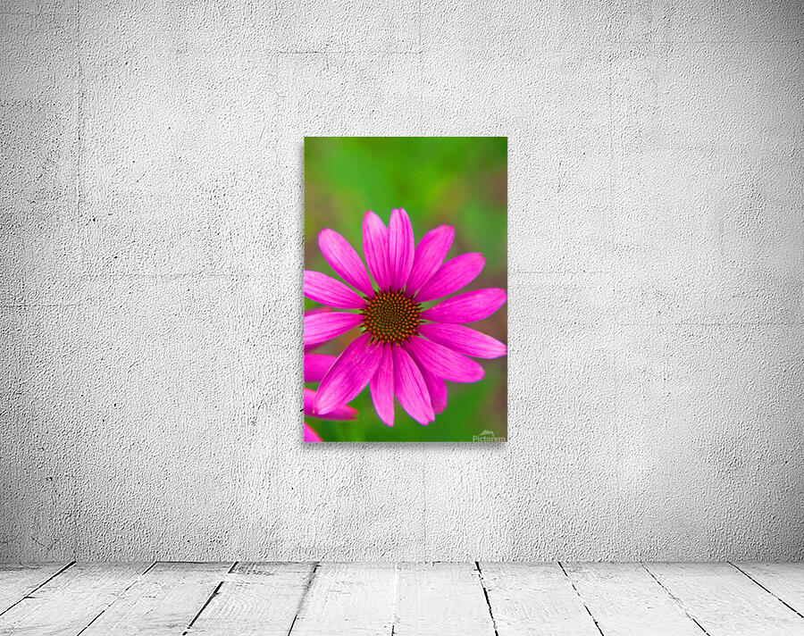 FlowersPlants 139 Wall Preview