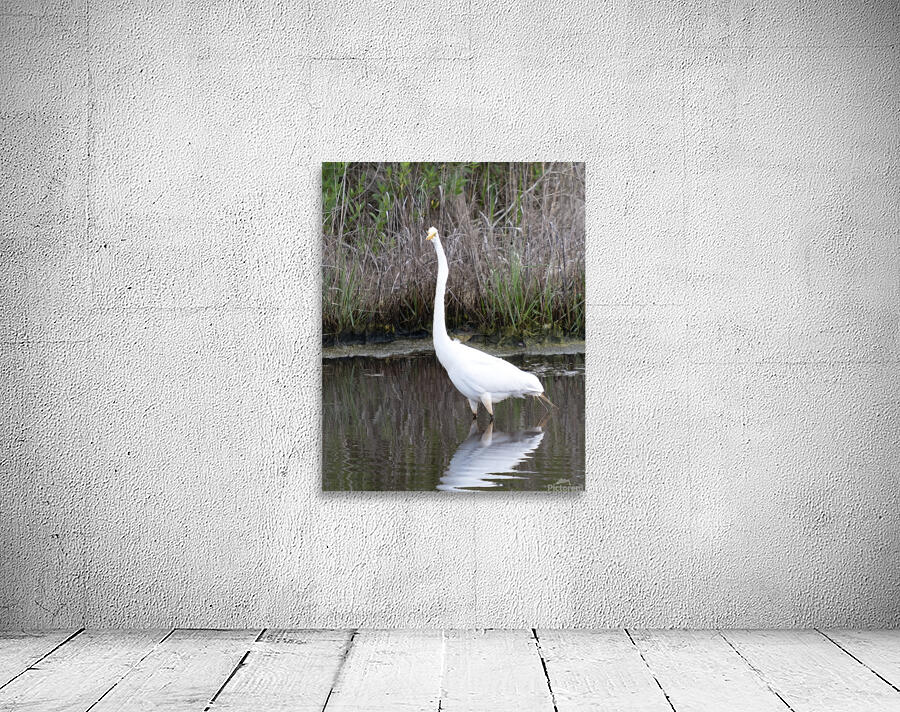 Birds 43 Wall Preview