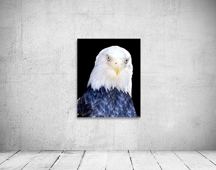 Birds 44 Wall Preview