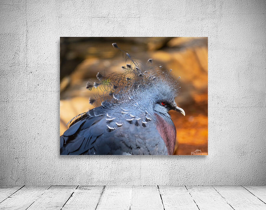 Birds 46 Wall Preview