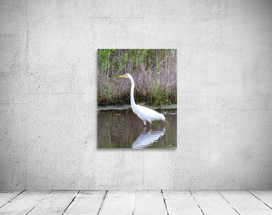 Birds 47 Wall Preview