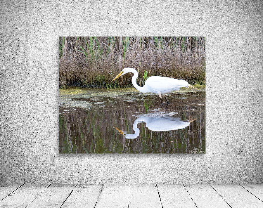 Birds 59 Wall Preview