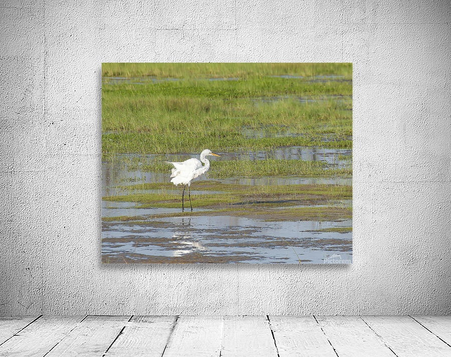 Birds 62 Wall Preview