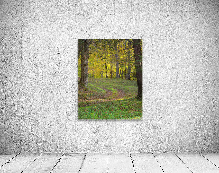 CountryAmericana 191 Wall Preview