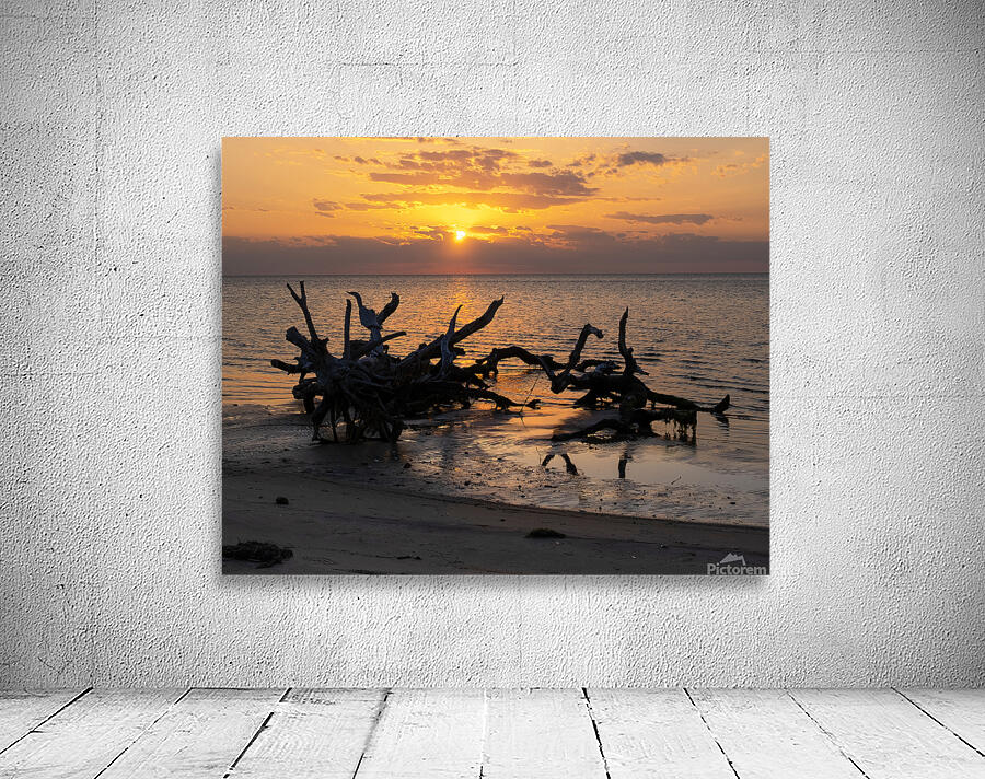 Coastal 1 Wall Preview
