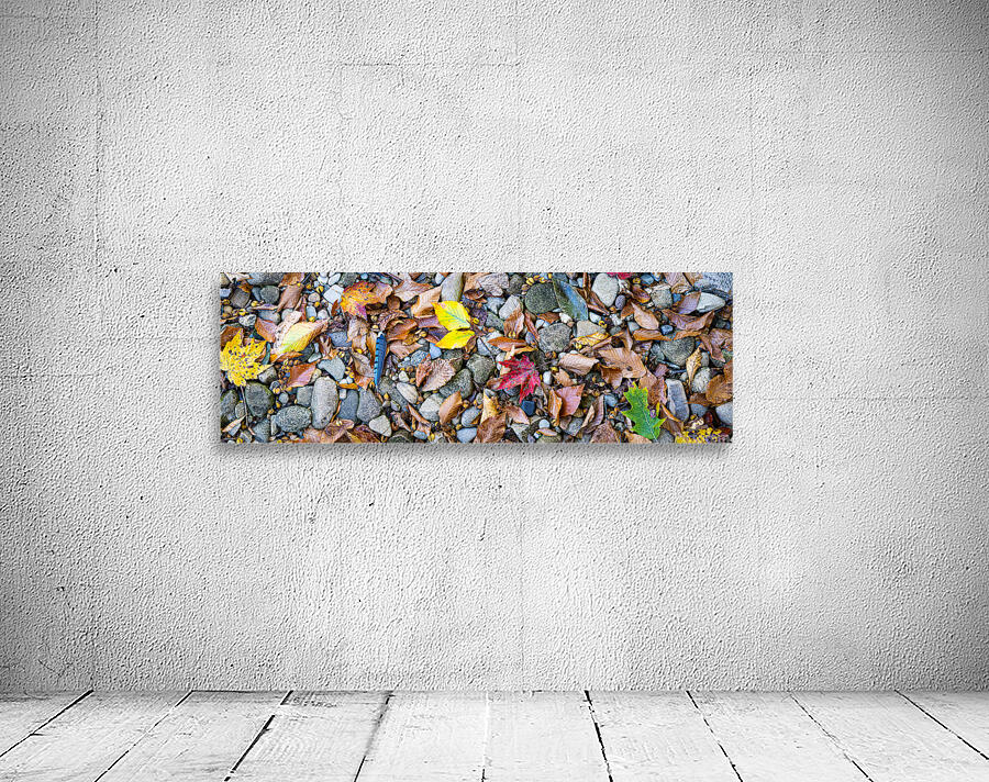 Panoramic 1 Wall Preview
