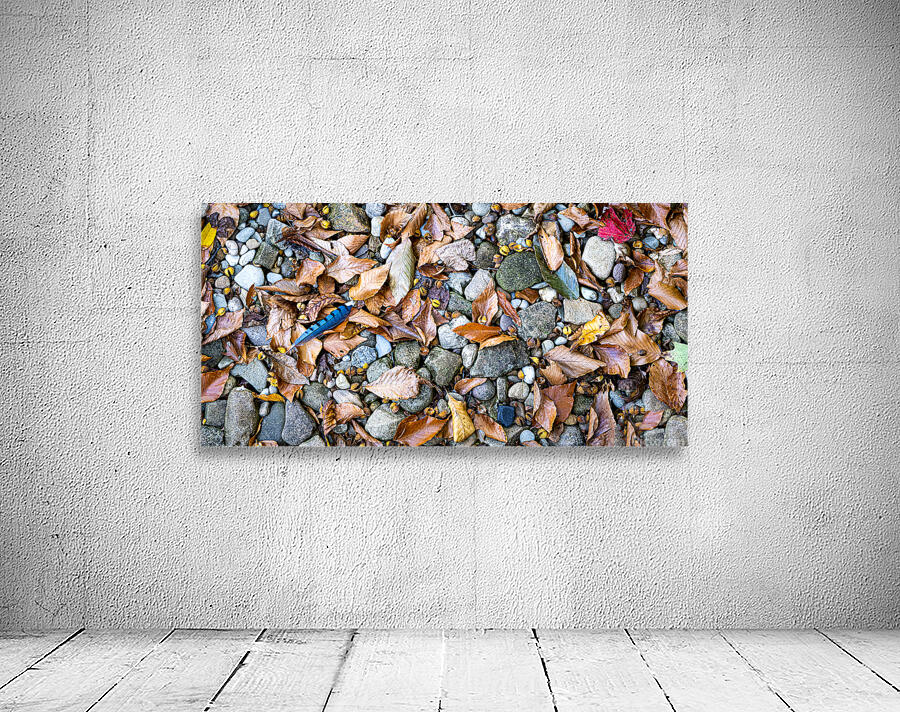 Panoramic 2 Wall Preview