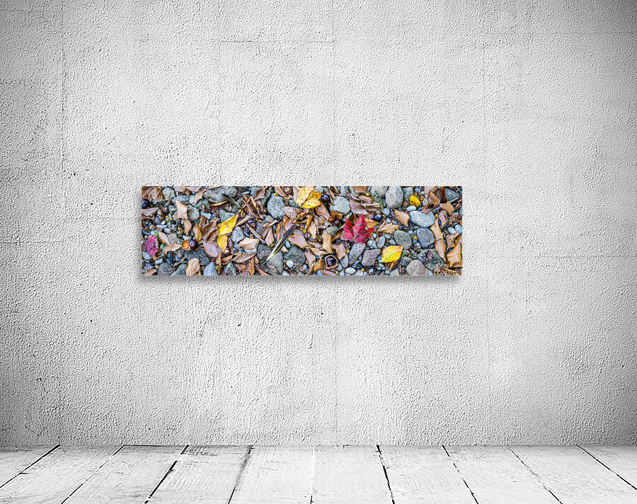 Panoramic 7 Wall Preview