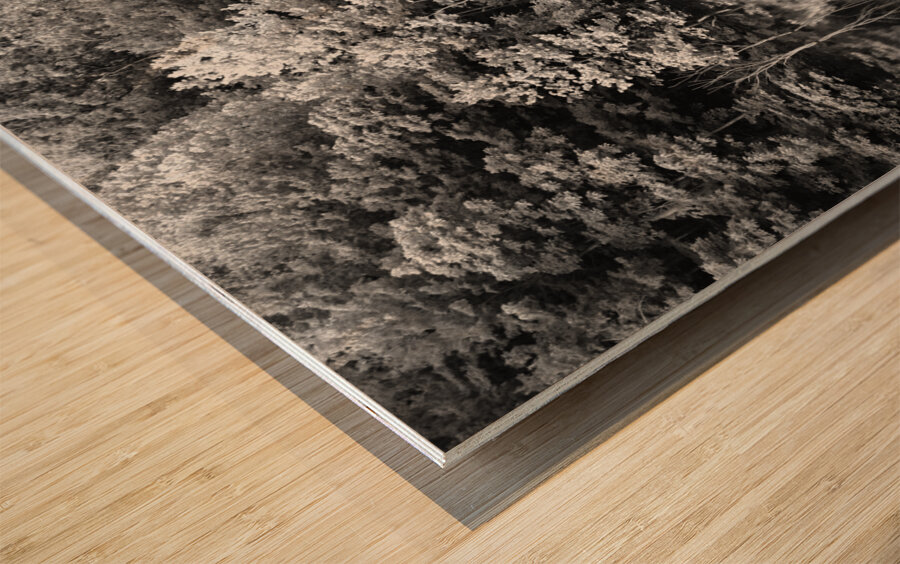 Green Abstract  1 Monochrome Wood print