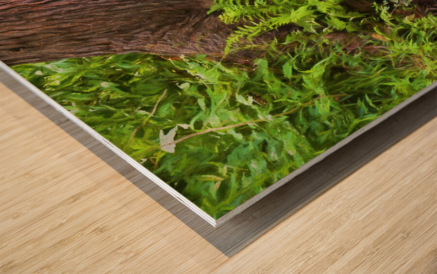 Abstract Close Up Paint 2 Wood print