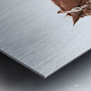 Cowhorse II Metal print