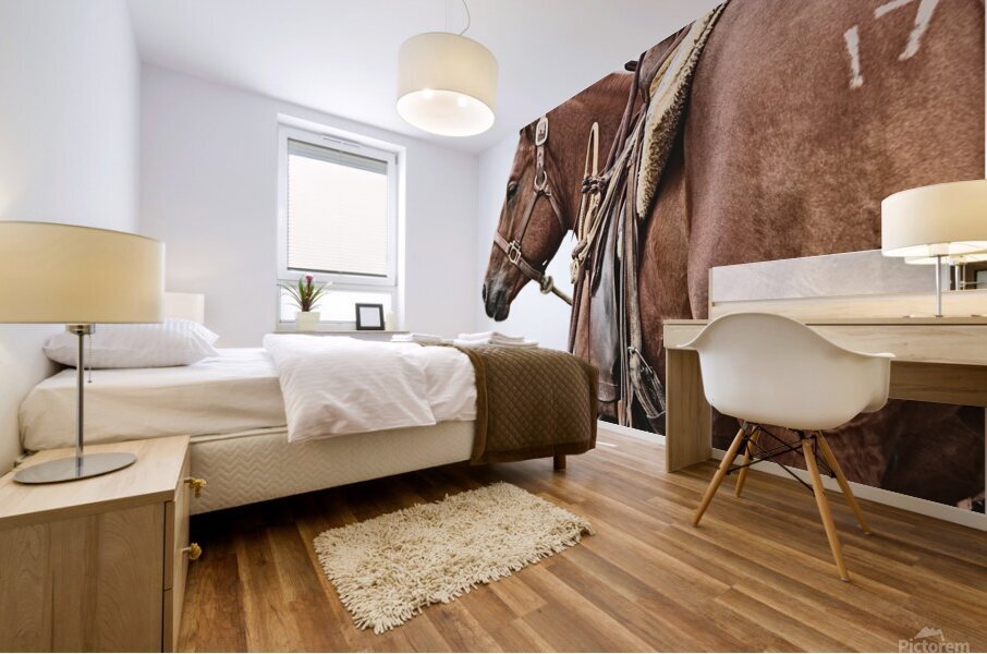 Cowhorse II Mural print