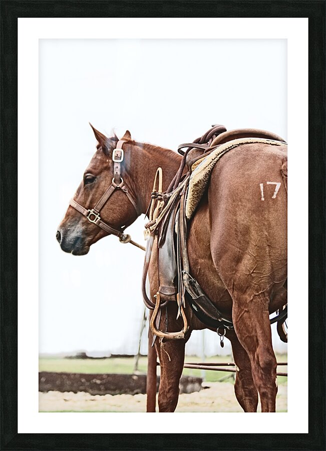 Cowhorse II Picture Frame print