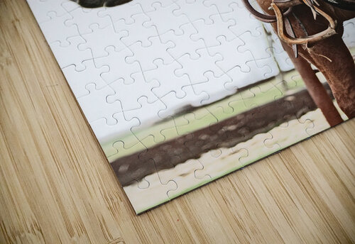 Cowhorse II Cat van Kay puzzle