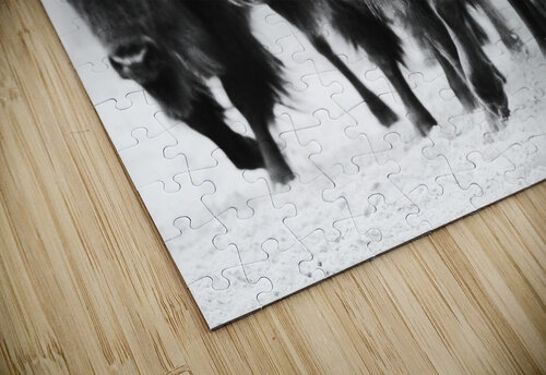 Buffalo Herd Cat van Kay puzzle