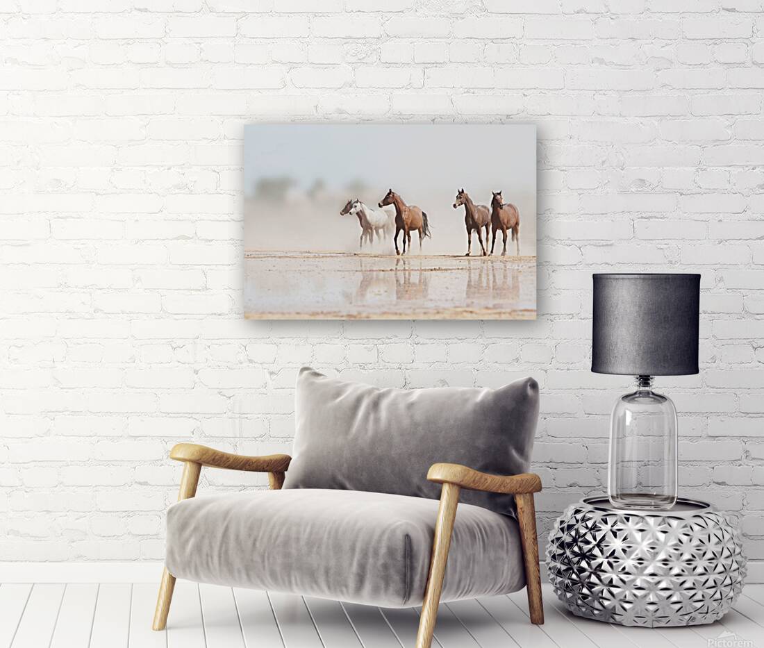 Desert Horses Reproduction