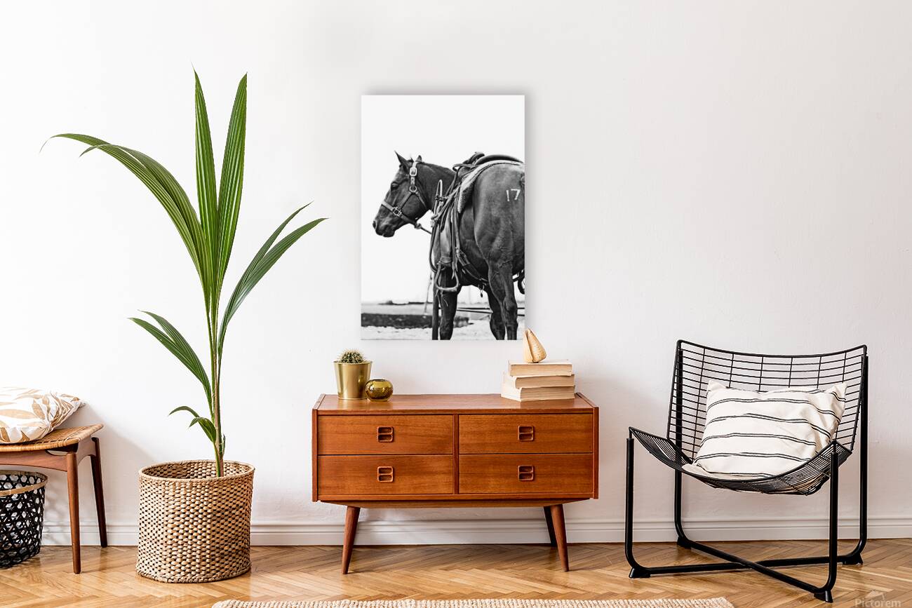 Cowhorse Reproduction