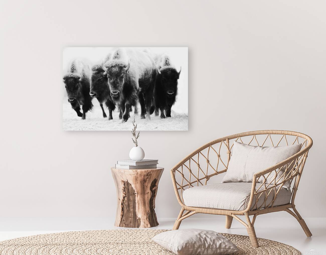 Buffalo Herd Reproduction
