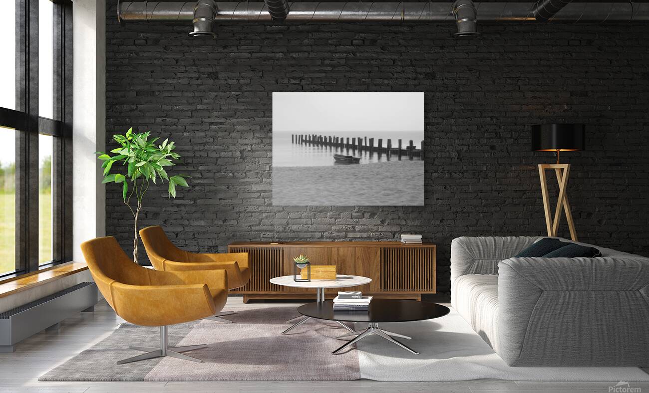 Monochromatic Seashore  Reproduction