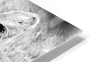 Branded HD Metal print
