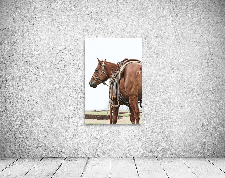 Cowhorse II Wall Preview