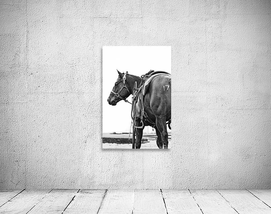 Cowhorse Wall Preview