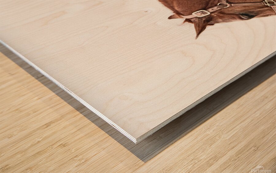 Cowhorse II Wood print