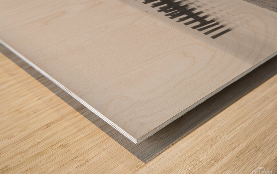 Monochromatic Seashore  Wood print