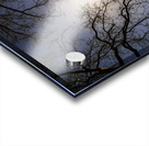 New York Statue of Liberty Acrylic print