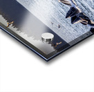 Alaska Whales Acrylic print