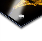 Paris Eiffel Tower Acrylic print