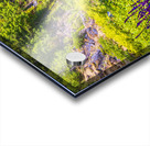 Store Victoria 5L3A8550 Acrylic print