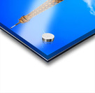 Store Paris 5L3A2222 Acrylic print