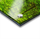 Store Munich  5L3A4085 Edit Acrylic print