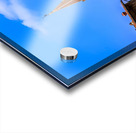 Store Florence 5L3A4864 Acrylic print