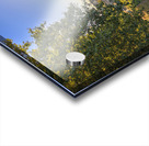 Store Rome 5L3A5579 Acrylic print