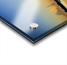 Store Florida 5L3A9280 Acrylic print