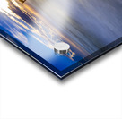 Store Florida 5L3A9559 Acrylic print