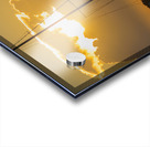 Store Florida 5L3A9278 Acrylic print