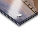 Store Florida 5L3A6579 Acrylic print