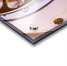 Store Florida 5L3A0380 Acrylic print