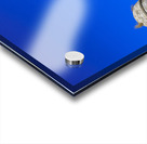 Store Florida 5L3A9385 Acrylic print