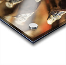 Store Georgia 5L3A0127 Acrylic print