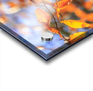 Store Georgia 5L3A0068 Impression Acrylique