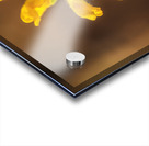 Store Georgia 5L3A0133 Acrylic print