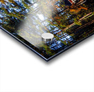 Store Georgia 5L3A9752 Acrylic print